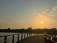 -丁香湖公园