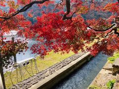 -岚山嵯峨野观光小火车