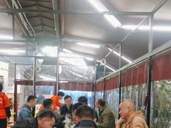 -费明中罗非鱼(大石坝店)