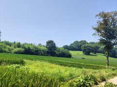 -良渚古城遗址公园