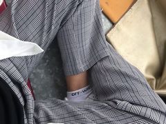 -白洋淀景区