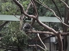 -费瑟代尔野生动物园