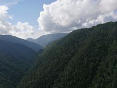 -凤凰山国家森林公园