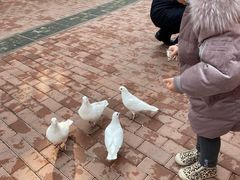 -王府井奥莱临潼小镇(临潼店)