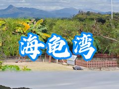 -广东惠东海龟国家级自然保护区