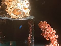 -深圳珠宝博物馆