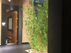 -新紫霞养生·影院足道·SPA(金山区店)