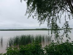 -呼兰河口湿地公园