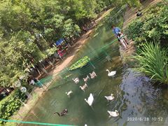 -长白岛森林公园