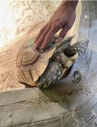 点击看大图 -Zoolung Zoolung动物主题公园(海信广场店)