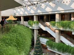 -广州白天鹅宾馆