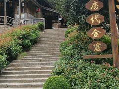-遂昌金矿国家矿山公园