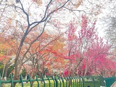 -杭州湖滨银泰in77