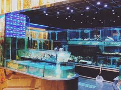 水产区-金翠皇宫粤菜·点心·海鲜(科技园店)