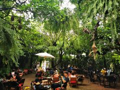 -Fern Forest Cafe