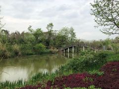 -白鹭湾湿地公园