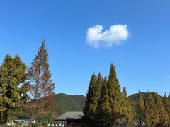 -东钱湖旅游度假区