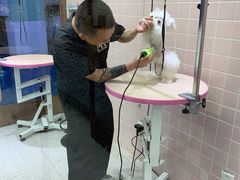 -FAELING PETS美天灵宠物(富力广场店)