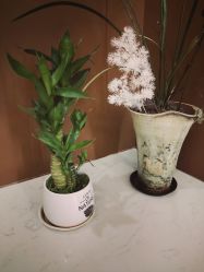 -Lily纤美·科技减脂中心
