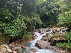 -西岭雪山大飞水景区