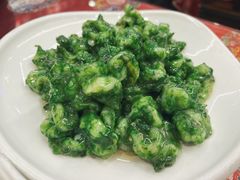 翡翠虾仁-玉华台饭庄(裕中西里小区店)