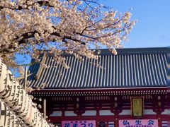 -浅草寺