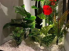 -凯亚斯顿酒店(深圳罗湖水贝国际珠宝城店)