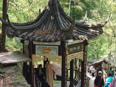 -藏龙百瀑风景区