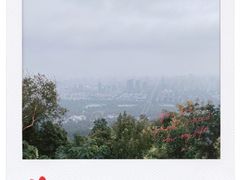 -一叶觅山(半边街店)