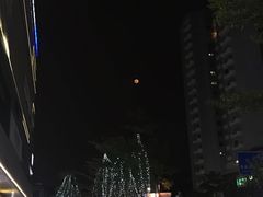 -乐凯撒披萨(汇港购物中心店)