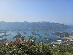 -鱼乐岛餐厅·户外花园主题餐厅