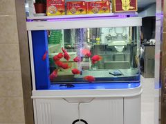 -高桥小香松糕
