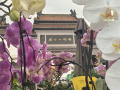-顺峰山公园