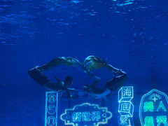 -上海海昌海洋公园