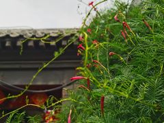 -前门兵部洼胡同停车场