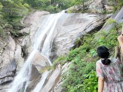 -内乡宝天曼生态旅游区