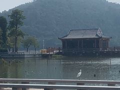 -顺峰山公园