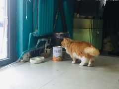 -一片田陶艺工作室