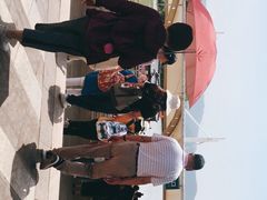 -长兴太湖图影湿地文化园