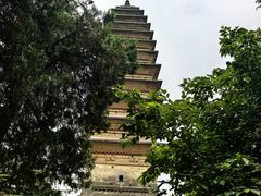 -洛阳白马寺