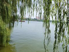 -济南大明湖景区