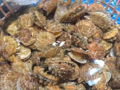 -和源祥·日照菜扛把子(万平口一店)