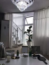 -첫번째 初见美学中心