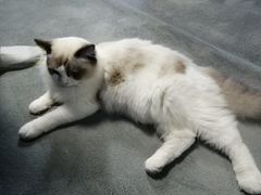 -零纪元VR体验馆·桌游(黄浦店)