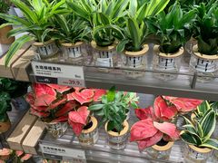 -鹿岛生活(熙地港店)