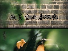 -张公山寨景区