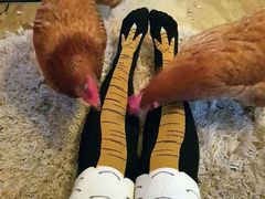 -永和大王(中关二店)