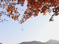 -广州市白云山风景名胜区