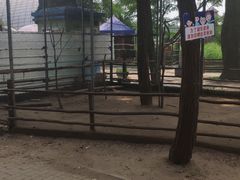 -南戴河国际娱乐中心