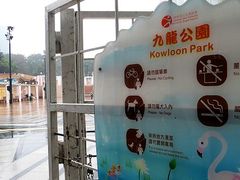 -九龙公园